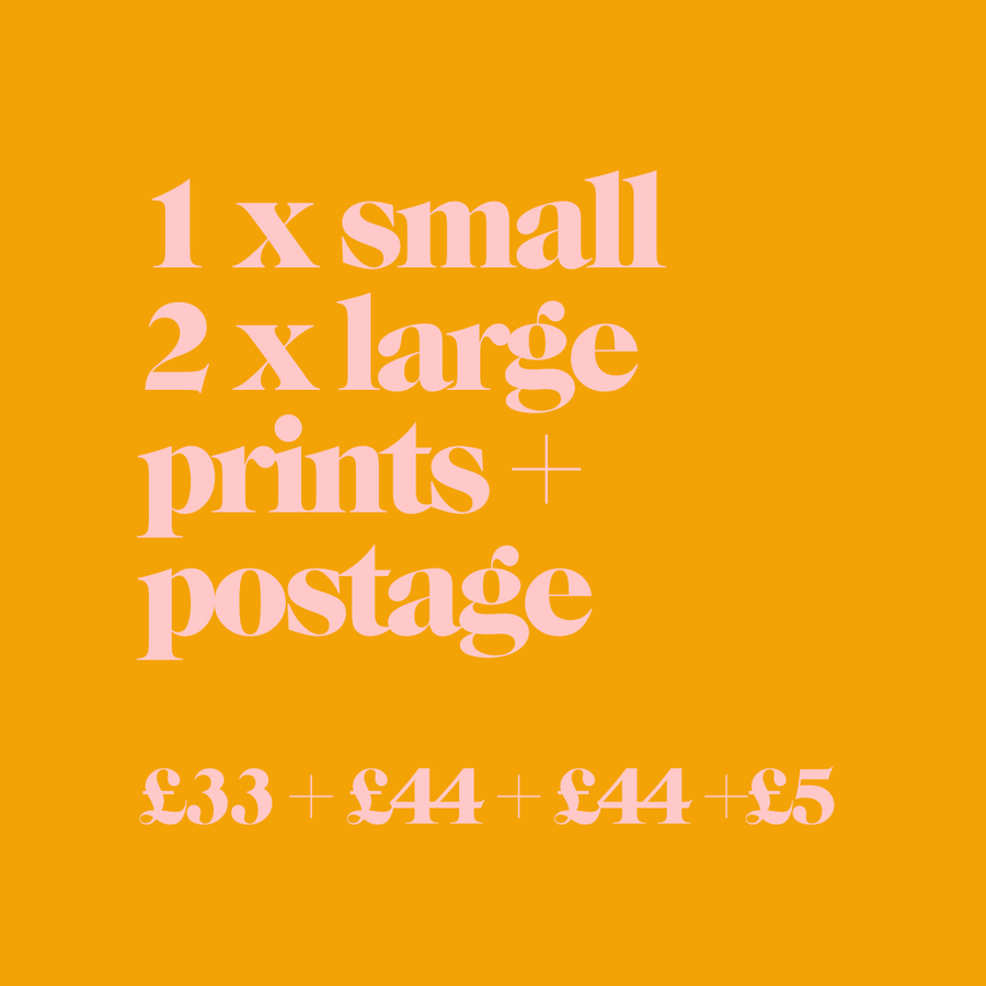 SILLY SAMPLE SALE - 2 x LARGE & 1 x SMALL PRINT + POSTAGE