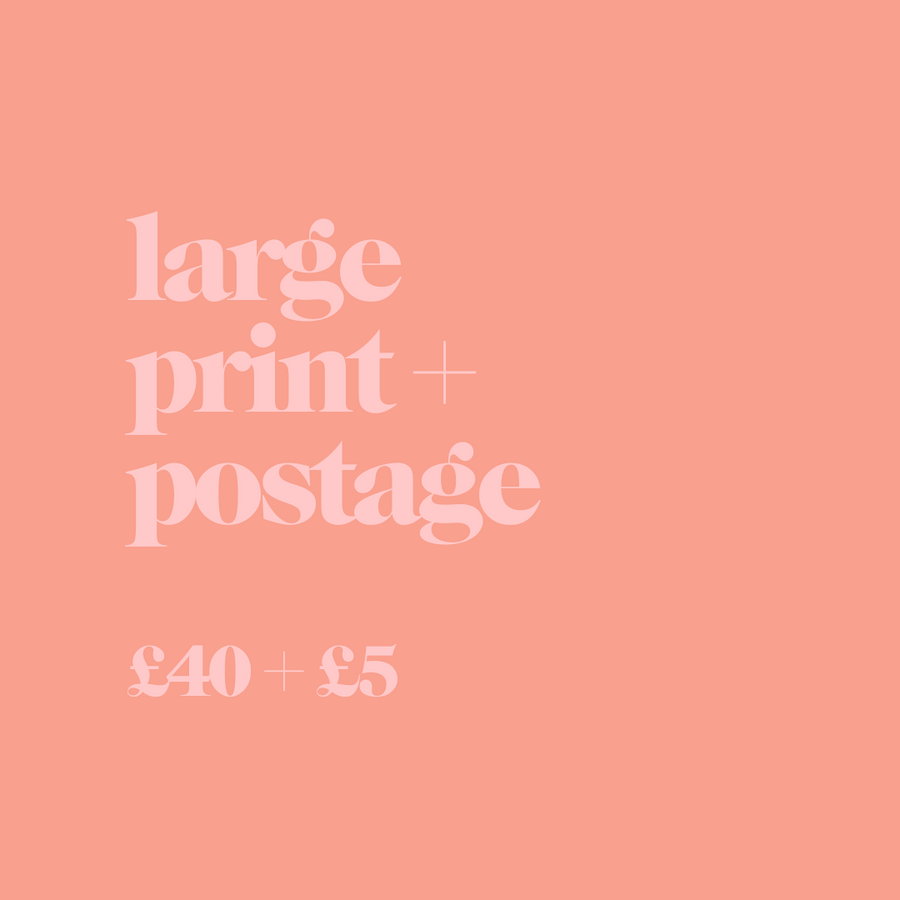 SILLY SAMPLE SALE - LARGE PRINT (REDUCED) + POSTAGE